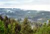 Redwood National Park